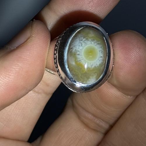 سليماني هندي فلاور - لون زيتي