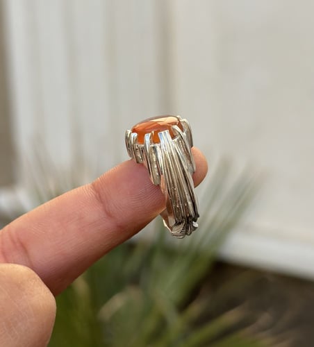 أصفر زعفراني عرض