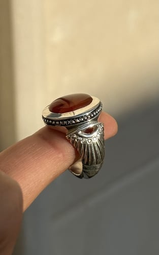 مشمشي زعفراني