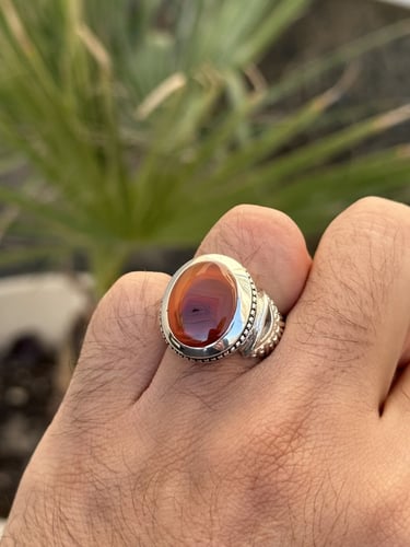 مشمشي عين زعفرانيه