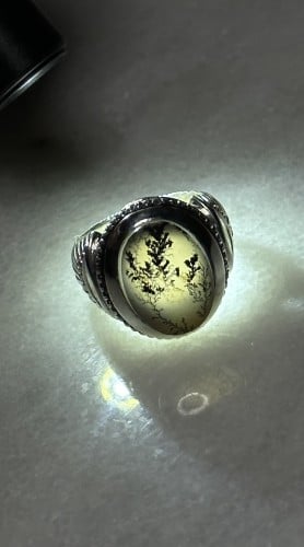 شجرية زجاجيه