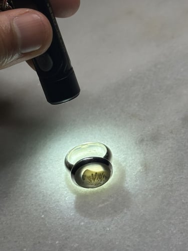 زجاجي لطخه شجريه