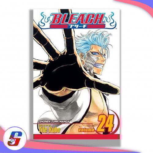 Bleach, Vol. 24
