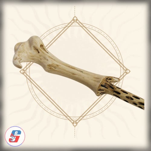 Wizarding World- Voldemort's Wand