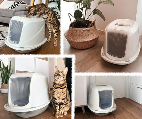 لتربوكس مغلق ايطالي صغير بعدة الوان