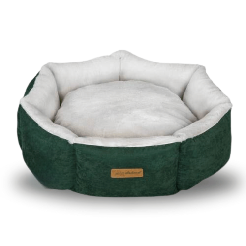 سرير قطط مستطيل الشكل من شركة فيلاين قو اللون رماد...