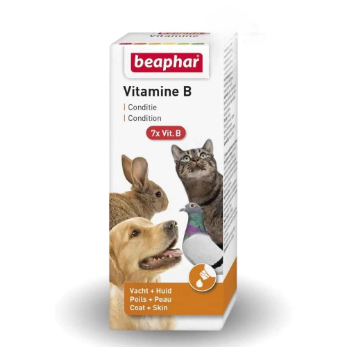 بيفار فيتامين B لجميع الحيوانات الأليفه 50 مل