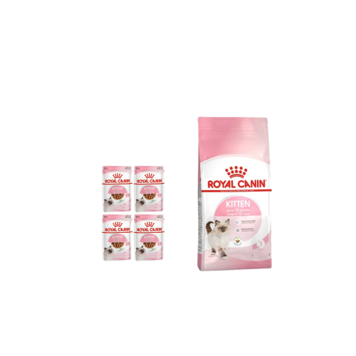 بكج للقطط الصغيرة رويال كيتن 5 قطع