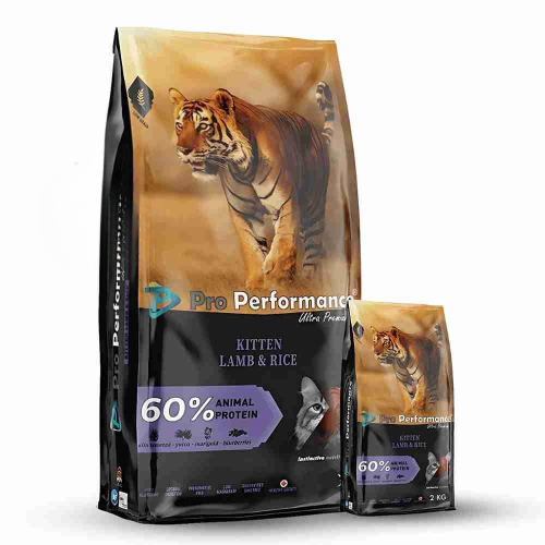 برو بيرفورمنس اكل جاف للقطط الصغيرة بنكهة اللحم وا...