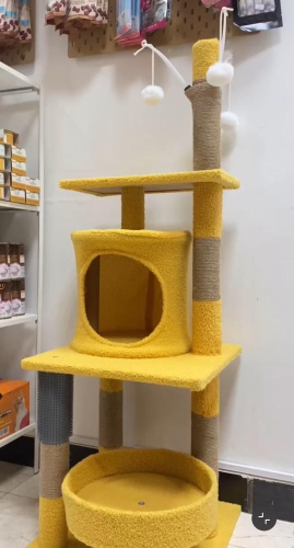 خداشة قطط لون اصفر مقاس كبير