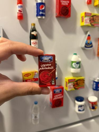 مغناطيس - معجون طماط