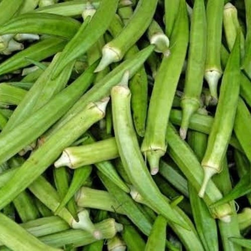 بذور نبات البامية ( Abelmoschus esculentus )