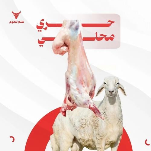 حري-بلدي-صغير