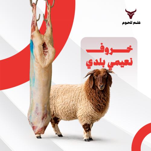 نصف نعيمي بلدي ١٢-١٤ كيلو