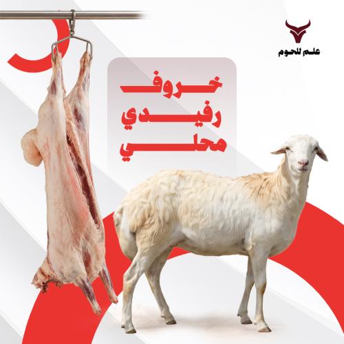 بوكس رفيدي محلي صغير ٦ كيلو