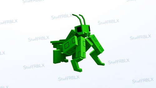 Praying Mantis