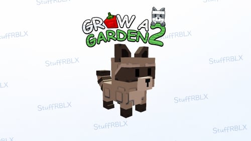 Raccoon - Grow a Garden 2