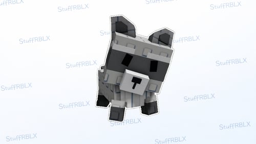 Raccoon