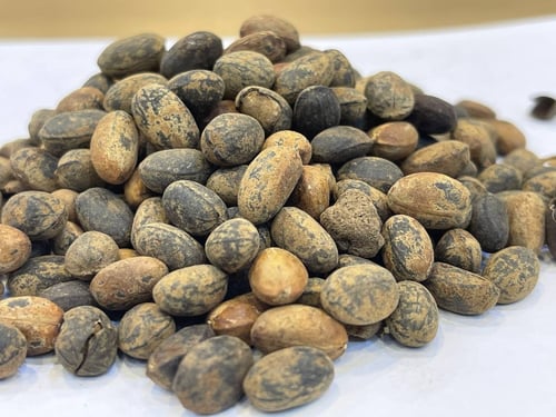 حبة العافيه