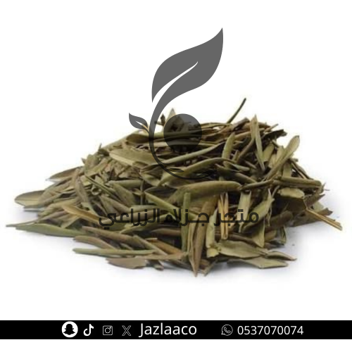 عشبة ورق الزيتون مجفف