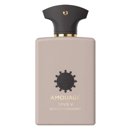 عطر امواج اوبس الخامس V او دو بارفيوم 100مل