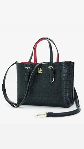 CH توت باق لارج بألوان متعددة