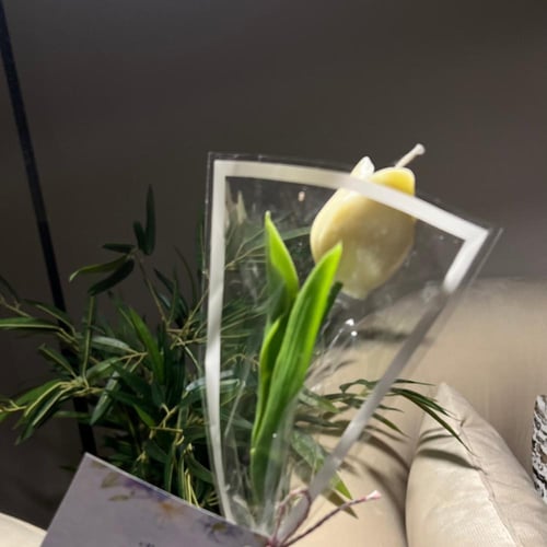 زهره التوليب