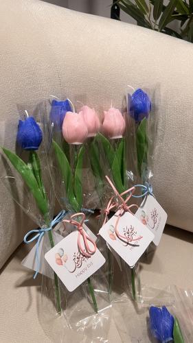 زهره التوليب بغُصن