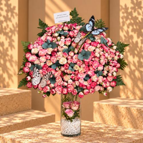 فراشات