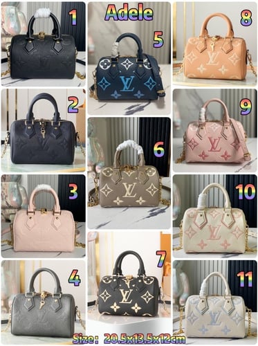 LV bag size 20cm