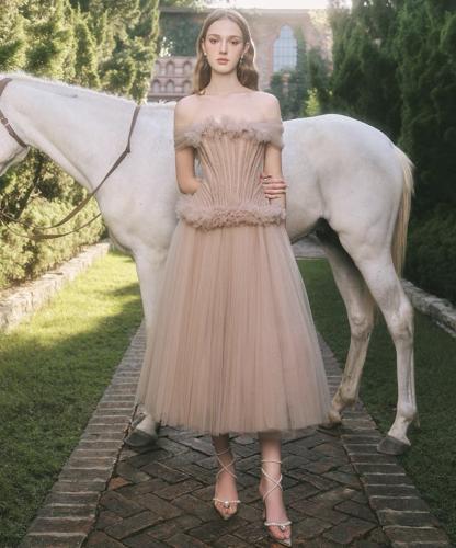 فستان فخم0406