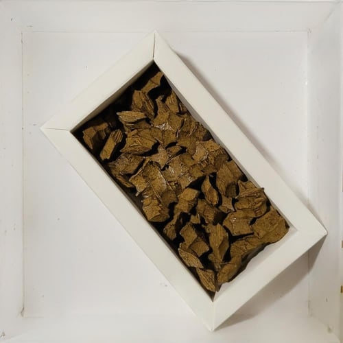 عود الفراشات (بيور)