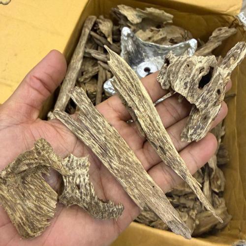 عود مروكي حي سوبر وسوبر مرتفع