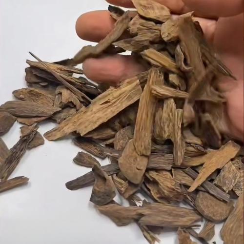عود بروناي فاخر (تولة 12 جرام)