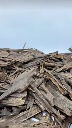 عود هندي اميري