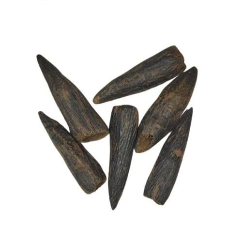 عود فلبيني غطاس (تولة 12 جرام)