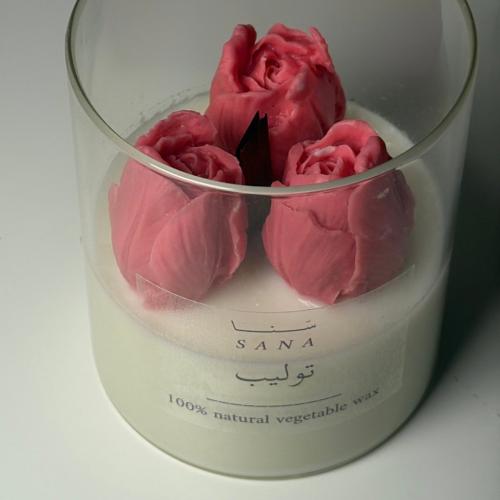 شمعة ( التوليب )