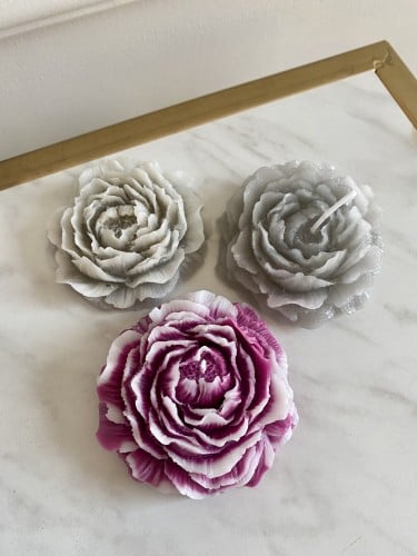 زهرة الجوري