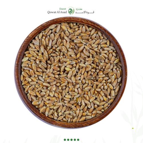 قمح بر دبي حب او مطحون بالكيلو