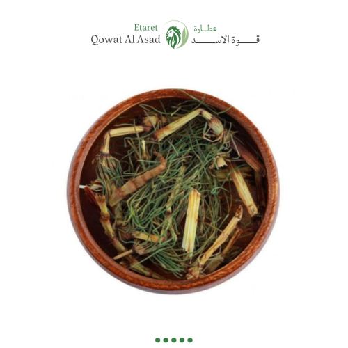 عشبة ذيل الحصان
