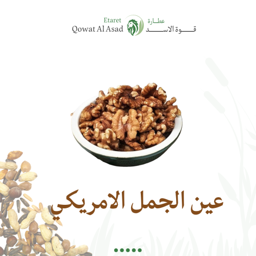 عين الجمل الأمريكي