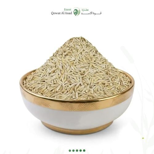 شعير يمني حب ومطحون بالكيلو