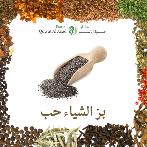 بذور الشيا حب