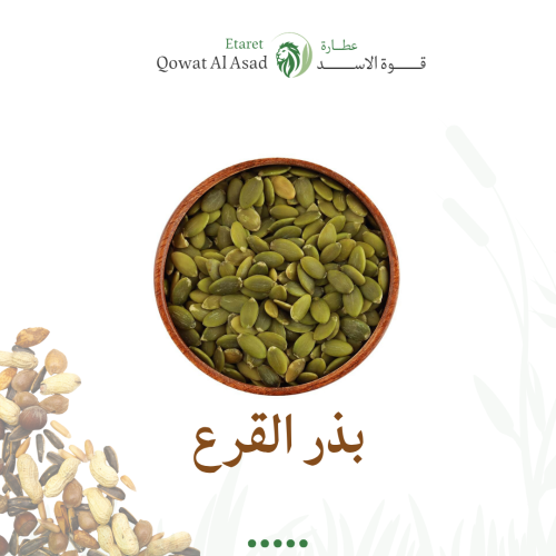 حب القرع
