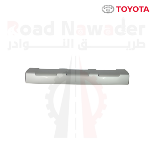 دقن خلفي رصاصي اف جي