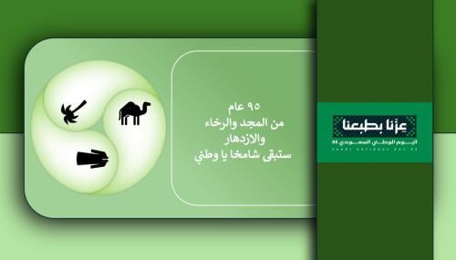 عرض اليوم الوطني