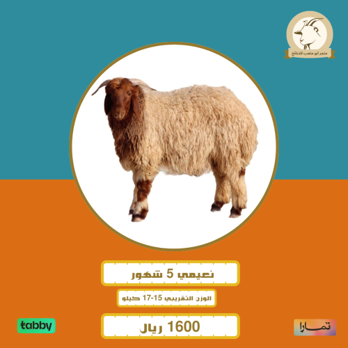 نعيمي 5 شهور