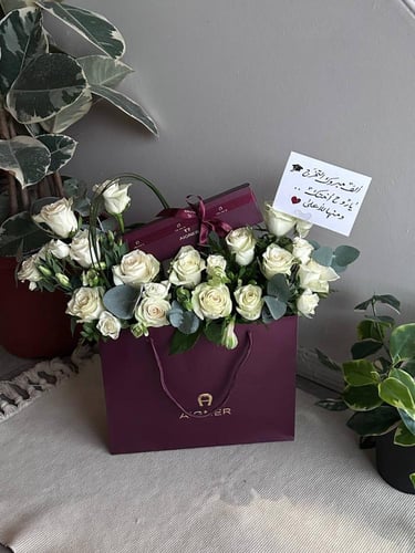 تنسيق قلم آغنر