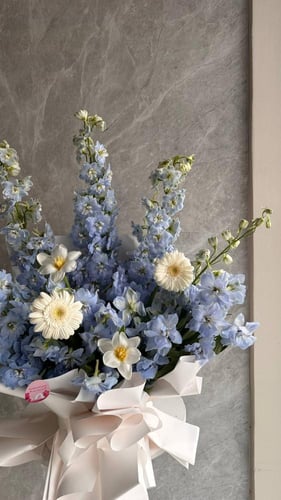 باقة الدلفينيوم