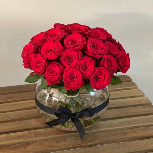 فازة جوري الحب